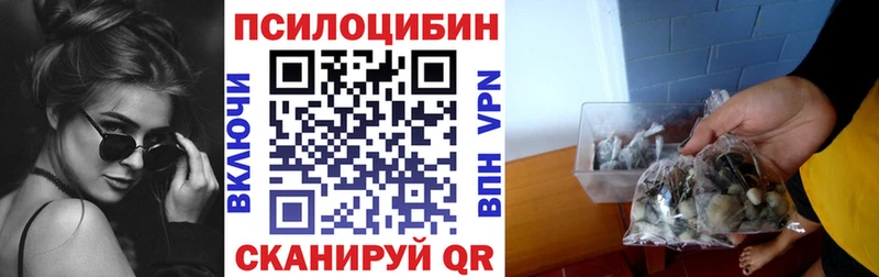 цена Урус-Мартан Псилоцибиновые грибы мицелий